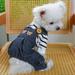 Shirts for Dog Pet Ring Puppy Dog Clothing Cat Clothing Suspenders Pull Chest Back Bear Head Jeans