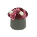 Primrue Assorted Sedum In Black Pot Silk/Plastic/Polysilk | 7" H X 6.5" W x 6.5" D | Wayfair 586E021715C045268C310BFBE3339033