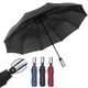 Automatic Open & Close Folding Umbrella Wind Resistant Foldable Umbrella 10 Ribs Compact Umbrella