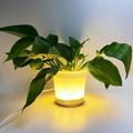 Dgankt LED Plant Pot Modern LED Flower Pot LED Lighted Planter Illuminated Planter For Succulents And Small Plants - Suit For Home Or Office Decor