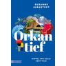Orkantief / Himmel und Holle ermitteln Bd.2 - Susanne Bergstedt