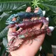 SWOLFY 3PCS/LOT Fishing Bait 12cm Marine Soft Crayfish Lobster Swimming Bait Claw Lure Fishing Gear