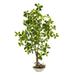 Silk Plant Nearly Natural 4 Schefflera Bonsai Artificial Plant in Planter