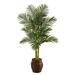 Silk Plant Nearly Natural 5.5 Golden Cane Artificial Palm Tree in Decorative Planter