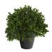 Silk Plant Nearly Natural 10 Boxwood Topiary Artificial Plant UV Resistant (Indoor/Outdoor)