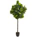 Silk Plant Nearly Natural 6 Fiddle Leaf Artificial Tree (Real Touch)