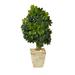 Silk Plant Nearly Natural 3.5 Schefflera Artificial Tree in Country White Planter (Real Touch)