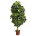 Silk Plant Nearly Natural 5 Schefflera Artificial Tree (Real Touch)