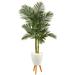 Silk Plant Nearly Natural 70 Golden Cane Artificial Palm Tree in White Planter with Stand