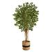 Silk Plant Nearly Natural 6 Japanese Maple Artificial Tree in Handmade Natural Cotton Planter