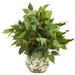 Silk Plant Nearly Natural Mixed Ficus Fittonia and Berries Artificial Plant in Floral Vase
