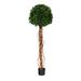 Silk Plant Nearly Natural 5.5 English Ivy Single Ball Artificial Topiary Tree with Natural Trunk UV Resistant (Indoor/Outdoor)