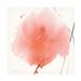 Wrought Studio™ Red Flower Abstract by Sheila Golden - Unframed Print on Canvas in Pink/White | 14 H x 14 W x 2 D in | Wayfair