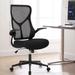 Ergonomic Mesh Executive Office Chair with 3D Armrests, High-Back Computer Chair with Tilt Function, Lumbar Support & Adjustable