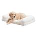 Tucker Murphy Pet™ Millie Sherpa Sofa Dog Bed Polyester in White | 7 H x 29 W x 20 D in | Wayfair 9BA14A3823F54C75B44A5799906A5B1D