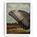 Rosalind Wheeler Butterfly Landscape I Framed On Canvas Print Canvas, Glass in White | 24 H x 36 W x 0.75 D in | Wayfair