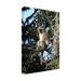 Winston Porter Vervet Monkey by Bob Langrish Canvas in Black/Gray/White | 19 H x 12 W x 2 D in | Wayfair EB231E3E4FF64C298E510D68CB2B43B2