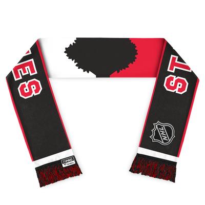 Fanatics 2023 NHL Stadium Series Schal Image