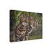 Winston Porter Pet Portrait Of Albus & Boo The Bengal Cats On Canvas by Steve Crockett Canvas Art Canvas | 18 H x 24 W x 2 D in | Wayfair