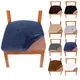 Housses de siège pour coussin de salle à manger en velours extensible amovibles avec protection