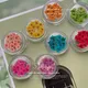 Fleurs sèches naturelles 3D pour la décoration des ongles véritables autocollants de fleurs