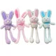 Pull The Rabbit Basket Stuffers Rabbit Keychain Pull Up Rabbit Plush Toys Soft Plushie Toys Stress