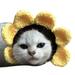 Farfi Cute Cartoon Handmade Dog Cat Hat Animal Party Costume Cap Pet Decor Accessory (Sunflowers M)