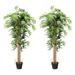 BULYAXIA 5ft Artificial Bamboo Tree Set of 2 Fake Greenery Plants in Pots for Indoor and Outdoor Beautiful Faux Tree with Leaves and Natural Trunk for Home Office Modern Decoration