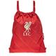 Nike Unisex Bag Lfc Nk Stadium Gmsk - Fa21, Gym Red/Bright Crimson/Fossil, DD1507-687, MISC