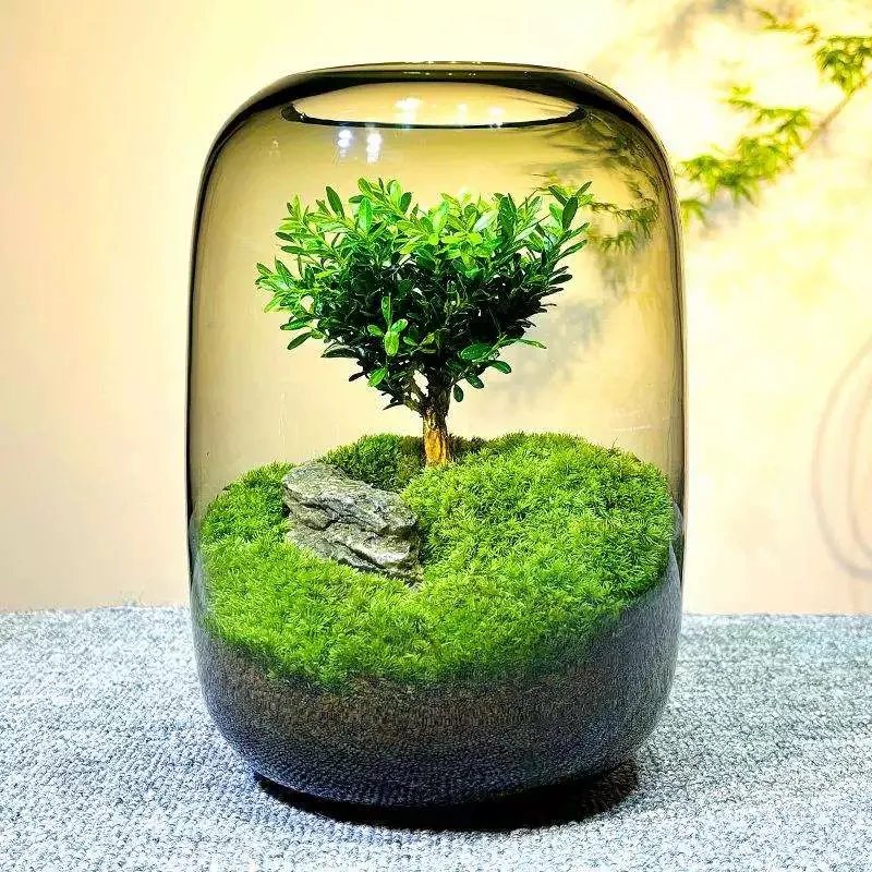 Kreative Grau Glas Flaschen Moos Landschaftsbau Flasche Sukkulenten Glas Vase Hydrokultur Container Micro Landschaft Glas Terrarium
