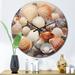 Designart "Beige Clam Seashell Symphony III" Animals Oversized Wall Clock