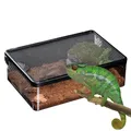 Boîte d'alimentation pour reptiles Escape Verde petit animal de compagnie terrarium vivant boîte