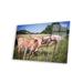 Union Rustic Texas Longhorns III by Ann Hudec Plastic/Acrylic in Brown/Green | 16 H x 24 W x 0.25 D in | Wayfair 5C67FD45300145AAA08BDE86157524C1
