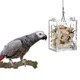 Behogar Funny Transparent Acrylic Bird Parrot Hanging Foraging Feeder Feeding Box Educational Toy