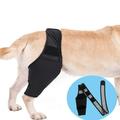 HOH Dog Knee Brace Dog Leg Brace for Torn acl Hind Leg Dog Hip Brace Adjustable Rear Leg Braces