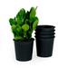 Arlmont & Co. Ofa Nursery Pot Plastic | 7.9 H x 7.9 W x 6.7 D in | Wayfair FAE69A12AEC149128FBA2E8099A5A760