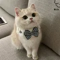 Jewelled Silk Cat Decorative Necklace Luxury Pet Collar Bows Necklace Dog Collars Accessories with