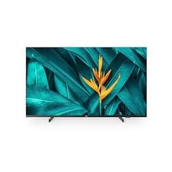 Philips 55HFL5214U 139,7 cm (55") 4K Ultra HD Smart-TV WLAN Schwarz Image