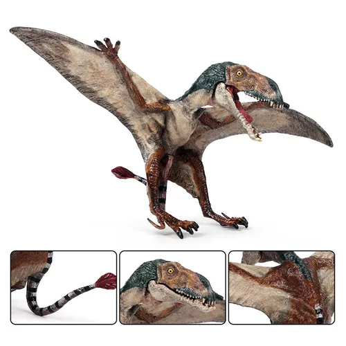 Heißer Verkauf Simulation Dinosaurier Biologie Flugsaurier Allosaurus Dinosaurier Modell Dinosaurier