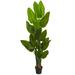 Nearly Natural 6 Canna Artificial Tree - h: 6 ft. w: 12 in. d: 8 in