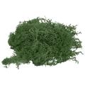 Uxcell 17.6 OZ Moss Fake Craft Moss Artificial Moss Natural Preserved Moss for Craft Arts Floral DIY (Grass Green)