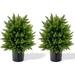 21.5â€� Artificial Cedar Topiary Ball Tree Set of 2 Faux Potted Plants Artificial Shrubs Bushes with Cement Pot Fake Ball-Shaped Artificial Topiary for Indoor Outdoor Home Front Porch Decor