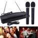 JNANEEI High Quality Wireless Microphone System Dual Handheld 2 x Mic Cordless Receiver