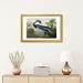 August Grove® Louisiana Heron Framed On Paper by John James Audubon Print Paper in Green | 16 H x 24 W x 1 D in | Wayfair