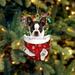 Sokhug Clearance Funny Christmas Tree Decorations Suitable For Dogs-Gifts For Dog Lovers-Christmas Decorations-Lovely Stockings Dog Christmas Tree