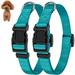 Adjustable Dog Collar Black Nylon Dog Collar Martingale Collar for Dogs with Quick Release Buckle Classic Pet Collar for Small Medium Large Dogs (Small 2 Pack Teal)