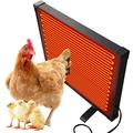 Walmeck Chicken Coop Heater 145W Radiant Heat Energy Efficient Safer Flat Panel Heater for Chicks Hens Dogs Cats
