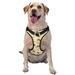 Junzan Watercolor Bee Honey Honeycomb Bee Pattern Dog Harness - Lightweight Soft Adjustable Small Harness And Leash Set-Large