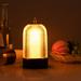 Led Lights for Bedroom ZKCCNUK Portable Wireless Birdcage Table Lamp Dimmable Decorative Atmosphere Rechargeable Table Lamp Touching Control Night Light