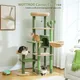 Multi-Level Cactus Cat Tree with Condo Hammock Scratching Post for Kitten Bed Cat Scrapers Large Cat